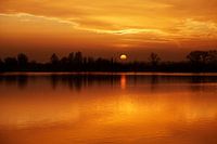 Haarrijnseplas, 18. Januar 2017 #2