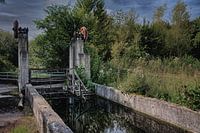 Gemaaltje in Waterloopbos