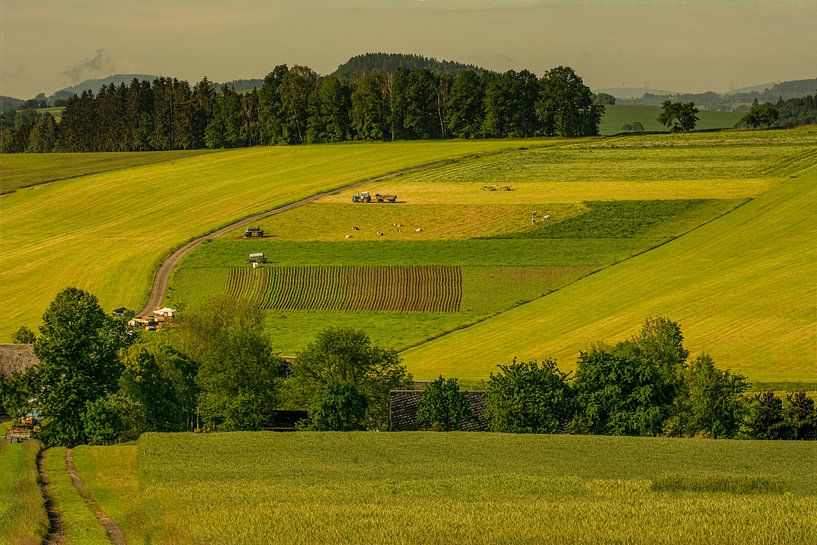 forêt fleurs champ paysage Erzgebirge montagnes villes villes villages par Johnny Flash