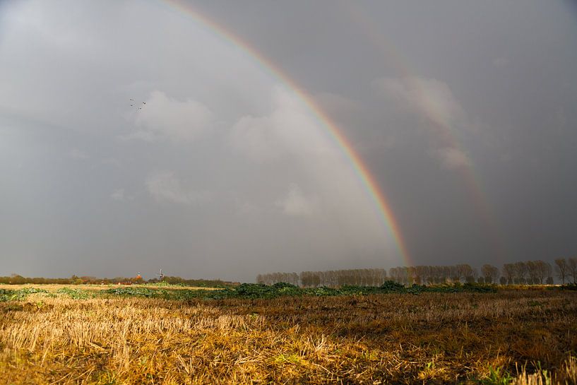 Rainbow in the fall by Rolf Pötsch