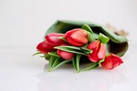 Bouquet de tulipes rouges