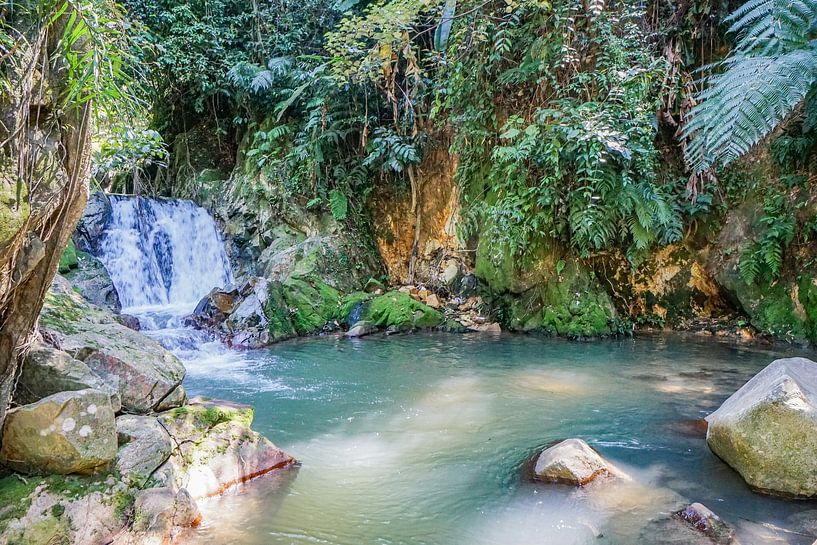 Chute d'eau secrète par Barbara Riedel