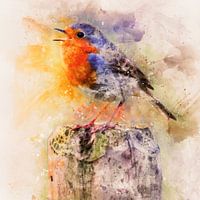 Colourful robin (art)