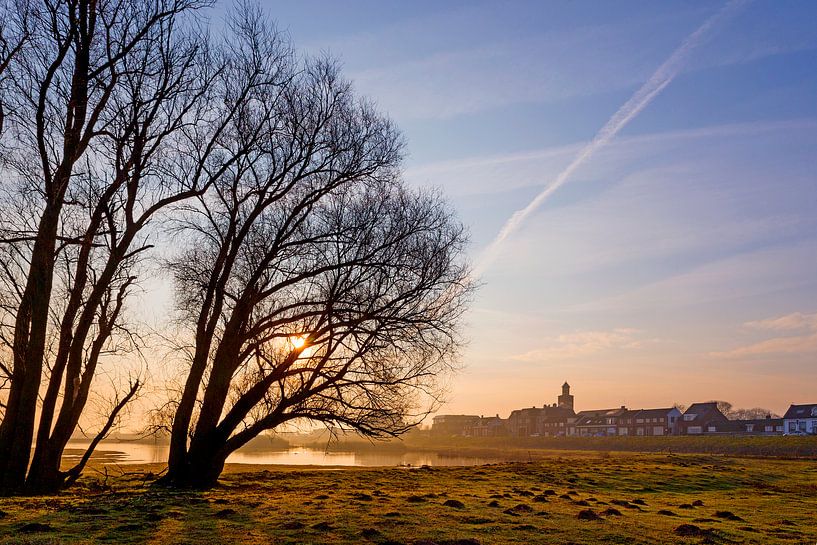 Weiden in der Aue während der goldenen Stunde von Irene Damminga