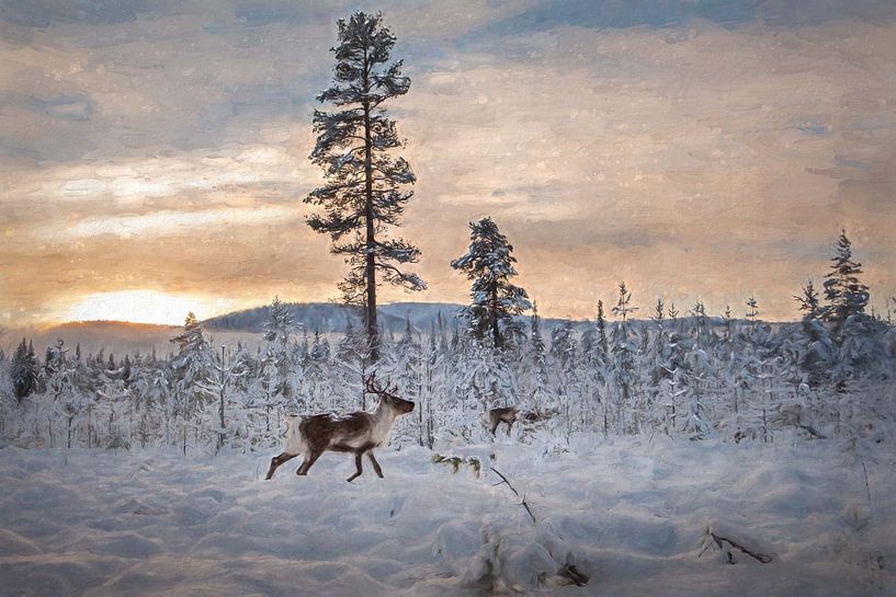 Les rennes dansent dans le silence par Marco Lodder