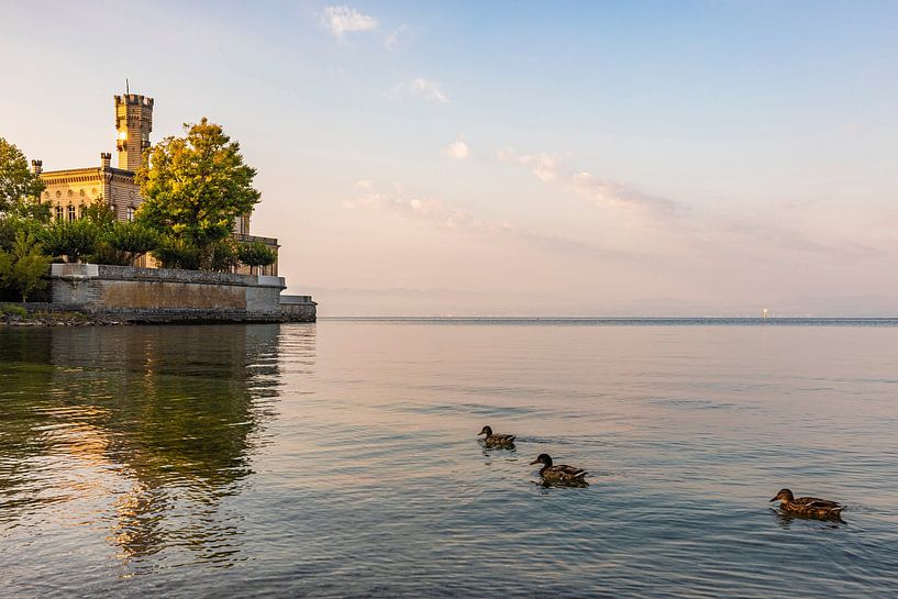 Château de Montfort à Langenargen, au bord du lac de Constance par Werner Dieterich