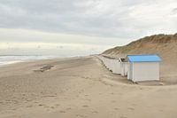 Maisons de plage sur Texel