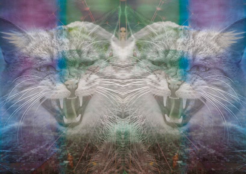 Annoyed by the Situation by Andreas Schulte