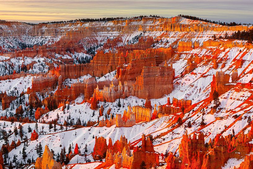 Wintersonnenaufgang im Bryce Canyon N.P., Utah von Henk Meijer Photography