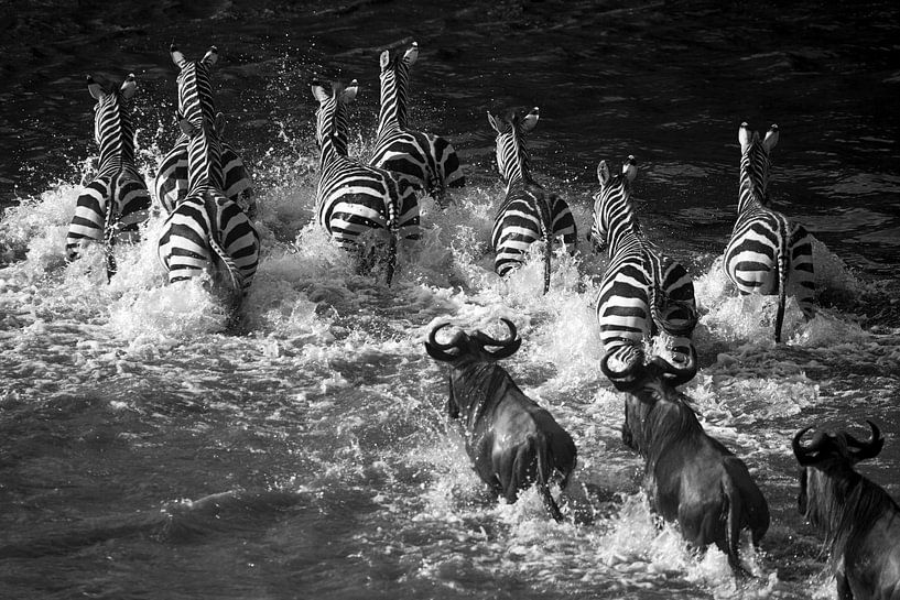 Zebra Crossing by Marijn Heuts