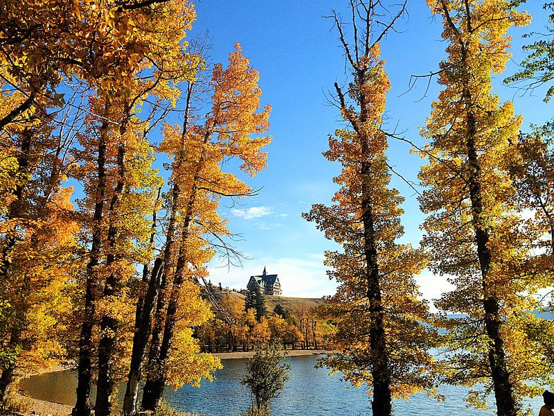 Kanada Waterton National Park Herbst by Martina Dormann