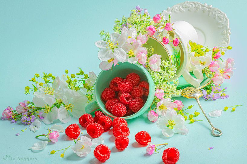 Délice de framboises par Willy Sengers
