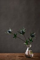 Thistles in vase