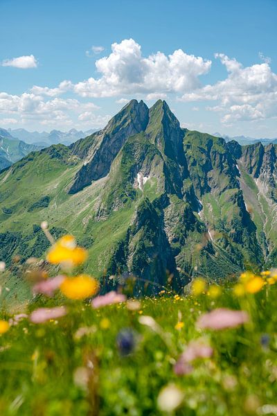 Vue fleurie sur le Höfats par Leo Schindzielorz
