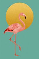 Illustration with pink flamingo and golden circle