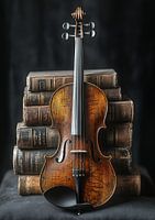 Violin