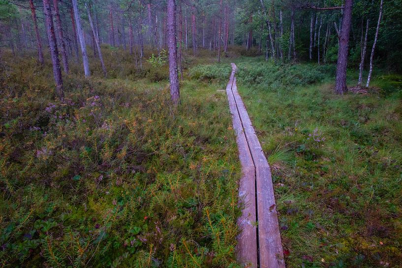 Finnland von Eric van Nieuwland
