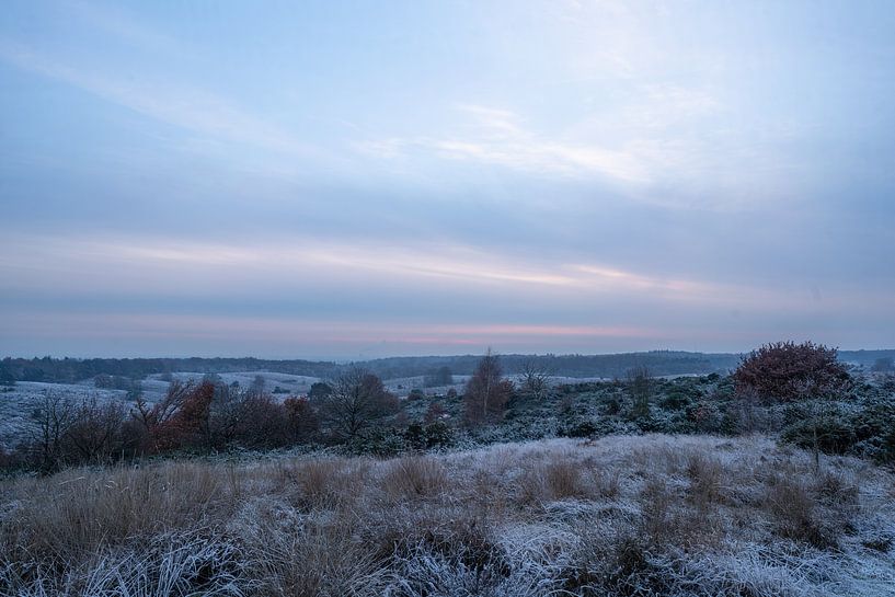 Winterlandschaft auf der Posbank von Arnold van Rooij