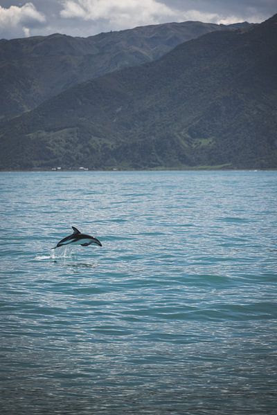 Kaikoura: Spectacle of Ocean Giants by Ken Tempelers