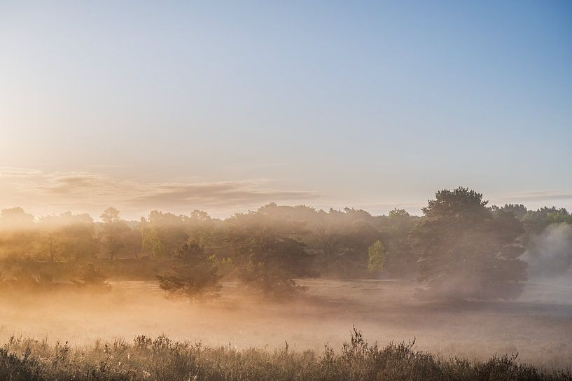 Fine art landscape of a misty sunrise on the moors (Paysage d'art d'un lever de soleil brumeux sur la lande) par John van de Gazelle fotografie