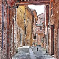 Innerhalb der Stadtmauern Panicale 2