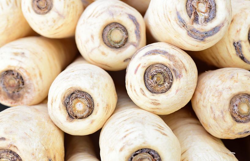 Wortelpeterselie op de markt van Ulrike Leone