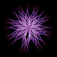 Ich bin... Schmetterlingsfliege