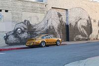 Clone de la Porsche 911 RS d'Eric Williams