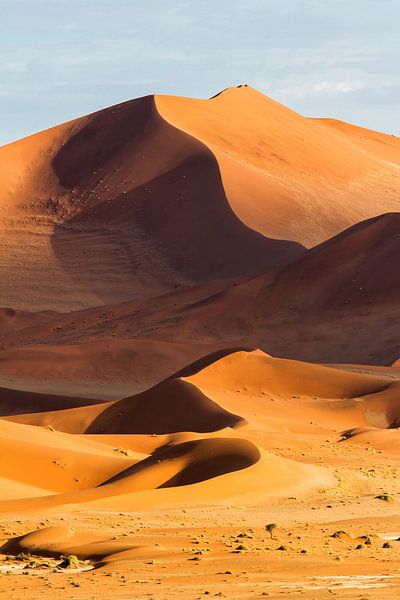 Sossusvlei Sanddünen von Henk Bogaard