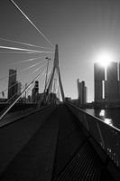 Erasmus bridge Rotterdam in black and white