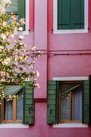 Venice Italy | Colorful houses from Venice | Travel photography