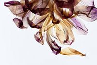 Bouquet - L'empreinte des feuilles