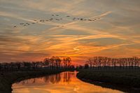 Sonnenaufgang am Fluss Leygraaf (Sonnenaufgang)