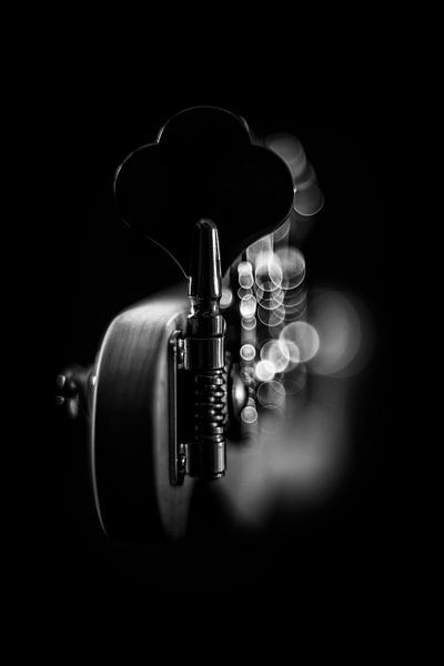 Tolle Lichtshow auf einer Bassgitarre II von Bob Daalder