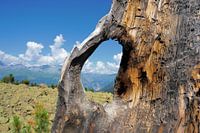 Bergpanorama in den Alpen