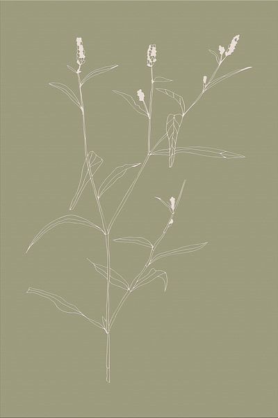 Boho-Botanische Blume auf Salbeigrün Nr. 5 von Dina Dankers