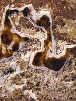 Schoorl Dünen aus der Luft