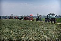 festival de la danse de la moisson