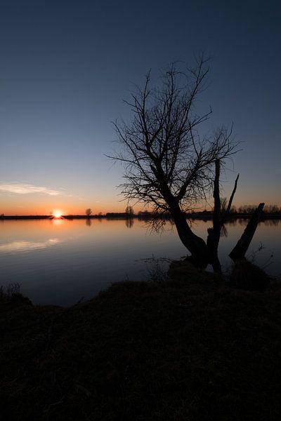 Zonsondergang met boom en meertje par Moetwil en van Dijk - Fotografie