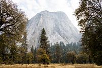 Yosemite