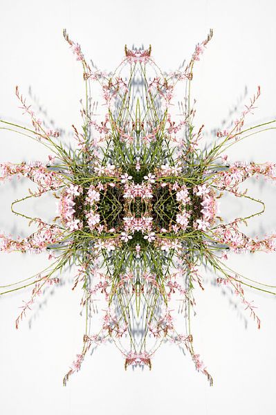 Flower ornament by Akira Peperkamp