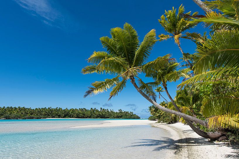Paradies, Aitutaki von Laura Vink