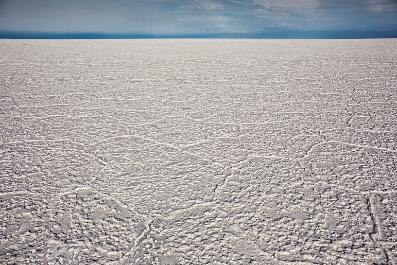 The cracked salt flats in Salar de Uyuni, Potosi area, Bolivia. by Tjeerd Kruse