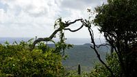Sankt-Christophorus-Berg Curaçao