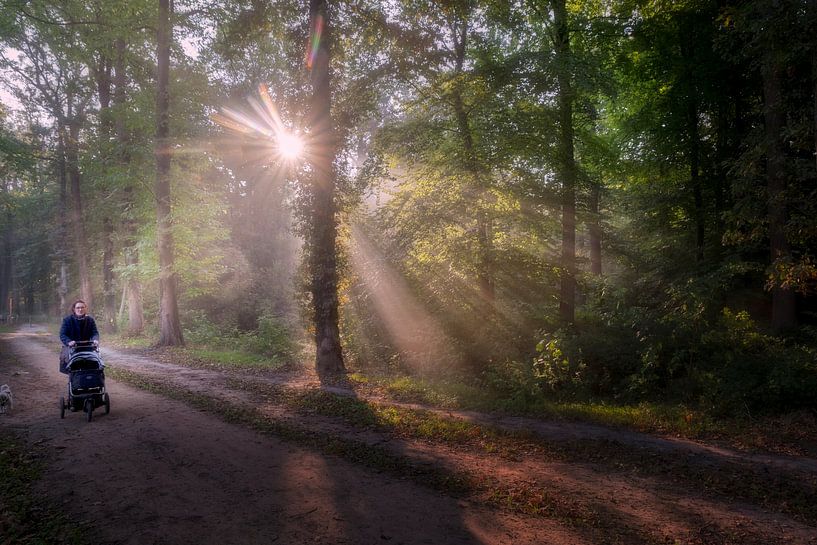Breda Liesbos in the fog by Egon Zitter