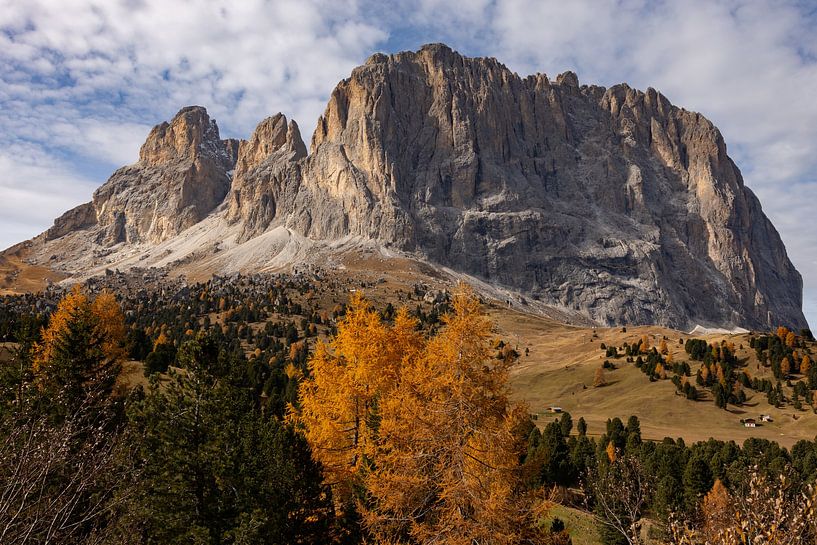 Dolomiti - Sassolungo by Nika Heijmans