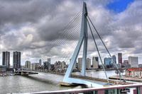 Erasmus Bridge Rotterdam
