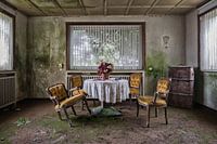 Lost Place - ohne Moos nix los!