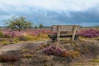 Vor dem Regenschauer