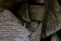 verwelkende Bananenblätter